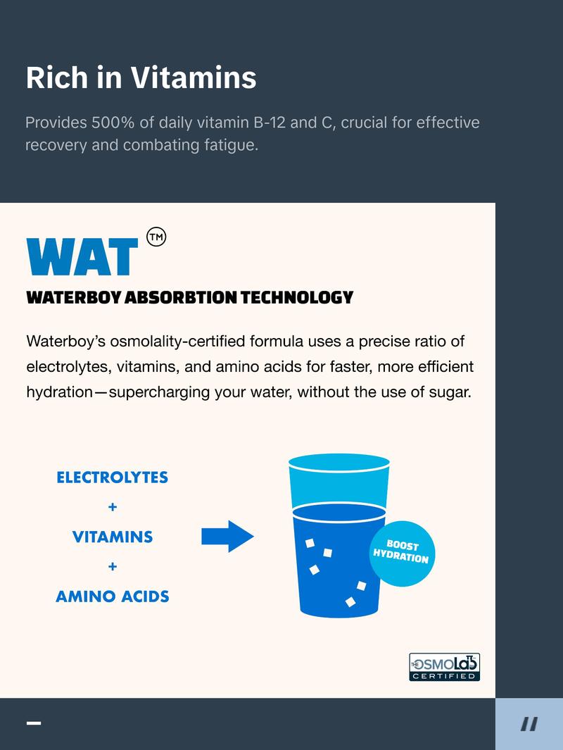 Waterboy Weekend Recovery | 9x Electrolytes & Sugar Free | Plus L-Theanine, Ginger Extract and Vitamins | Salty Flavor