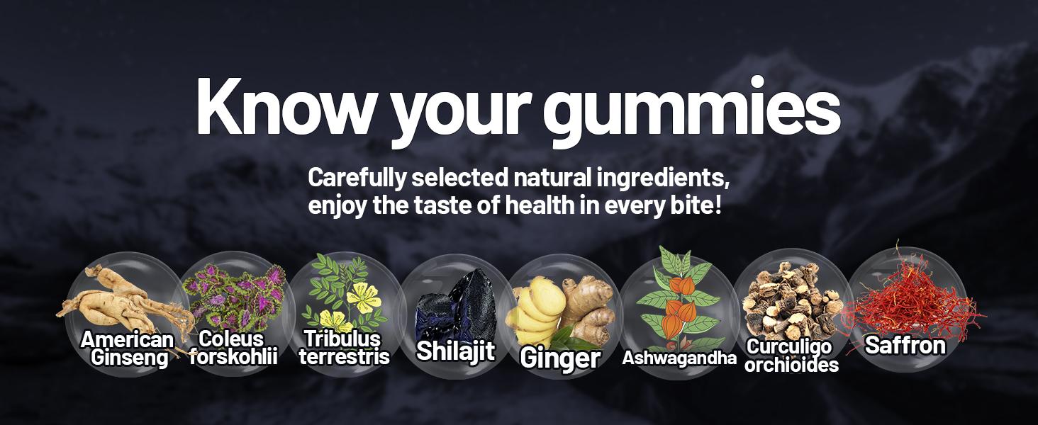 [buy 1 get 1]Dr.Thomps Premium Gold Himalayan Shilajit Gummies I Lab Tested I Individually Packaged I Ashwagandha, 75%+ Fulvic Acid & 85+ Trace Minerals I for Men, Women I Non-GMO I 100% Natural & Organic