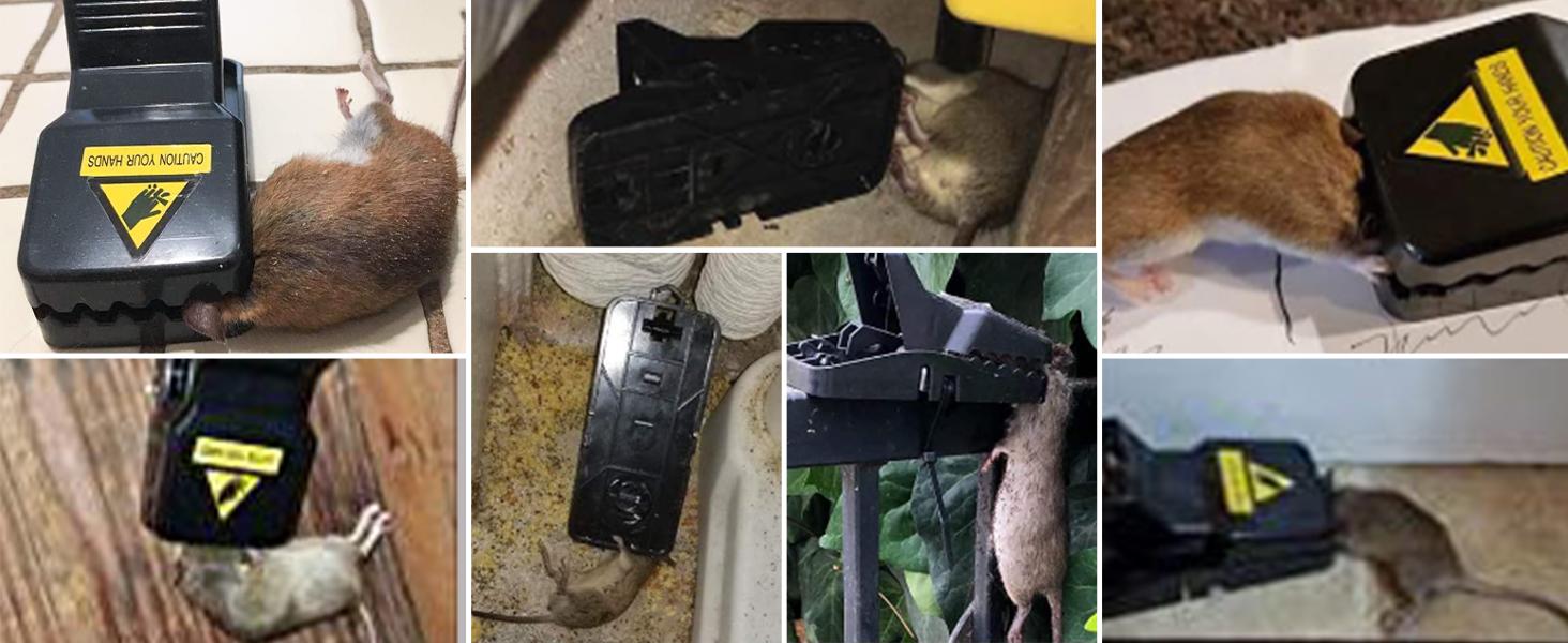 USKICH 20 Pack Mouse Traps Indoor Reusable ABS Plastic High Sensitivity Quick Kill Safe Non-Toxic Rodent Killer Easy Set for Home & Outdoor Use