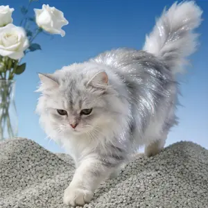 Bentonite Cat Litter 15.5lb Mixed Cat Sand Low Dust Non-Sticking Odor Eliminating Clumping Deodorizing Cat Products for Hygienic Litter Box