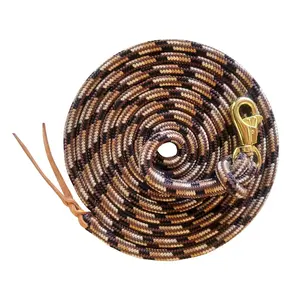 25' Tricolored Clinician Equine Training Lead