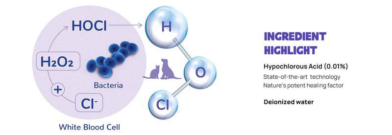 HICC Pet Eye Rinse - Soothes Eye Infections, Dry Eyes & Pink Eye | Vet-Recommended Formula for Dogs & Cats | 5.1 fl oz | Tear Stain Cleaner & Allergy Relief