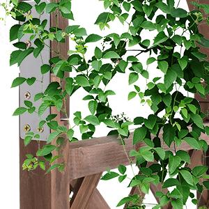 VINGLI Wooden Garden Arbor, Wedding Arch, 7ft Arch Backdrop Stand for Ceremony, Wood Trellis for Plant Climbing, Christmas Decor Pergola for Garden Backyard, Lawn