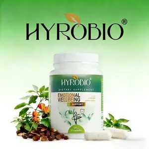 HYROBIO-Calming Sleep Supplement capsules Mix with KSM-66 Ashwagandha Vitamin D3 Magnesium & L-Theanine (Melatonin Free)