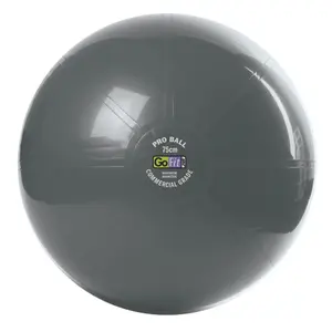 Super Ball - Commercial Grade Stability Ball