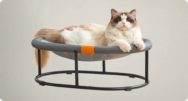 Feandrea Pet Bed, Cat Hammock, Elevated Cat Bed for Multiple Cats, with Removable Washable Mesh, for Pets up to 28 lb, Oval, Gray UPCB002G01