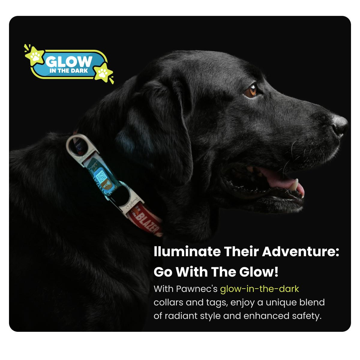 NeoCollar 'Pet Paradise' - 2-in-1 dog collar with ID tag - personalized with name - customized collar for pets