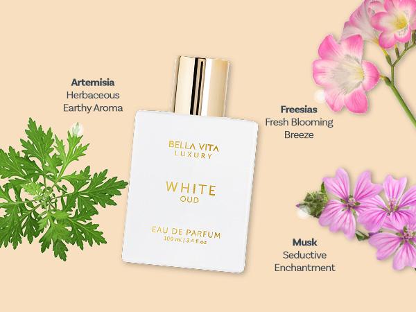 Oud Eclipse by BellaVita Luxury | Perfume Combo Gift Set | 3×100 ml | White Oud, Honey Oud & Oud Dark | Long Lasting Eau De Parfum | Vegan & Cruelty Free