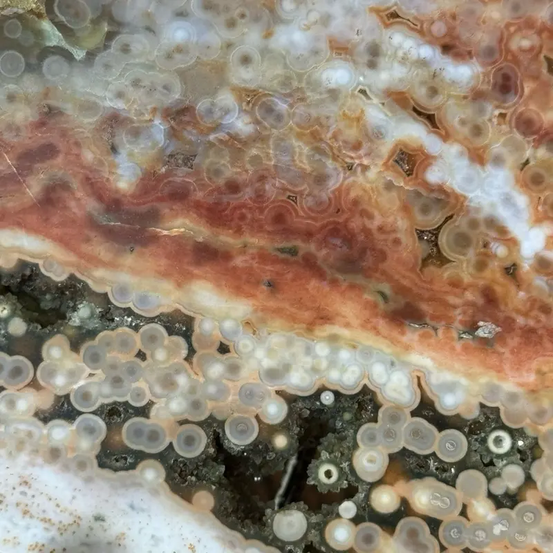 Ocean Jasper Freeform/Slab – Orbicular Jasper with Druzy Pockets with stand