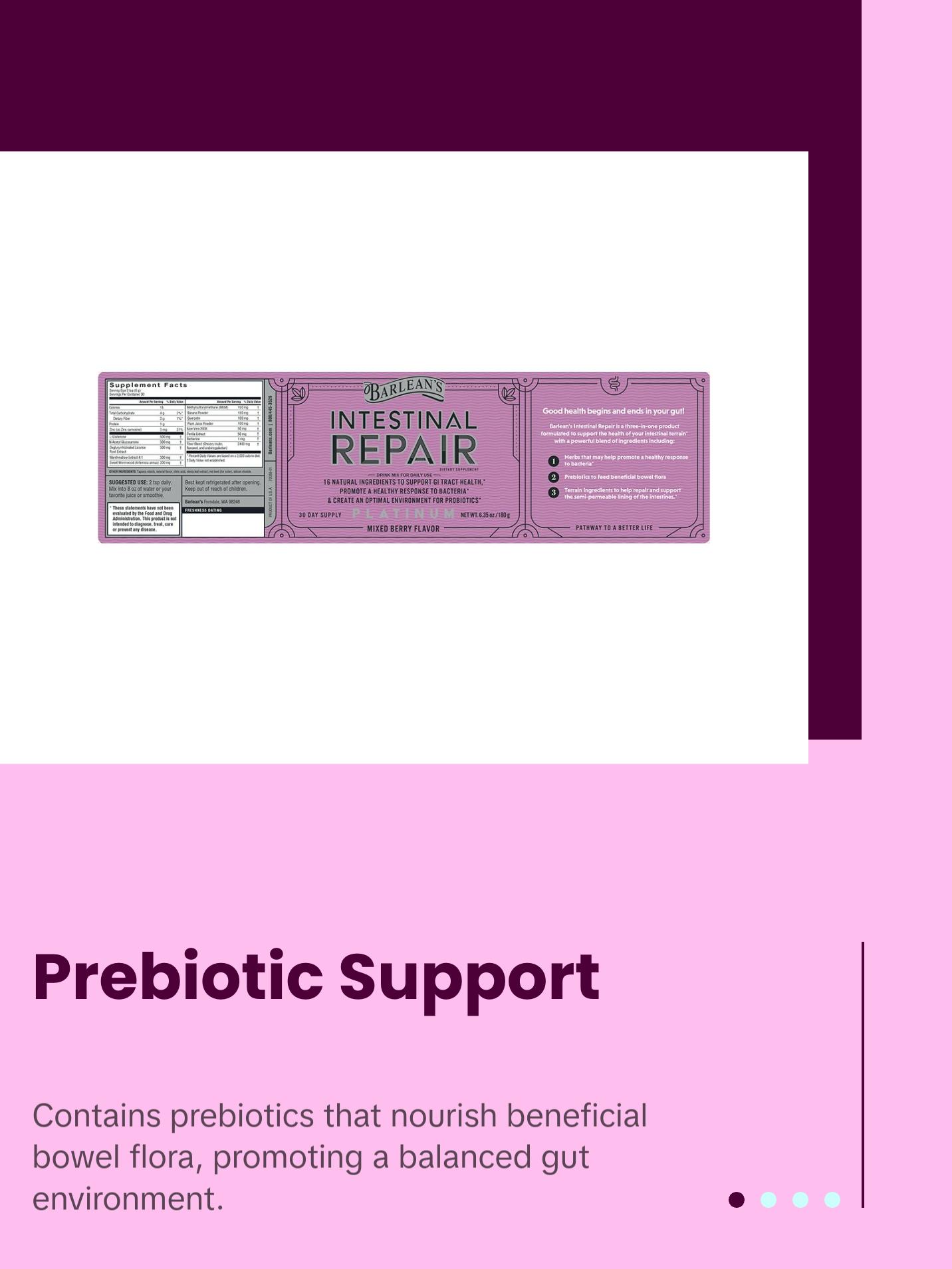 Barlean’s Intestinal Repair Gut Health Powder with 16 Digestive Supplements Healthcare Dietary