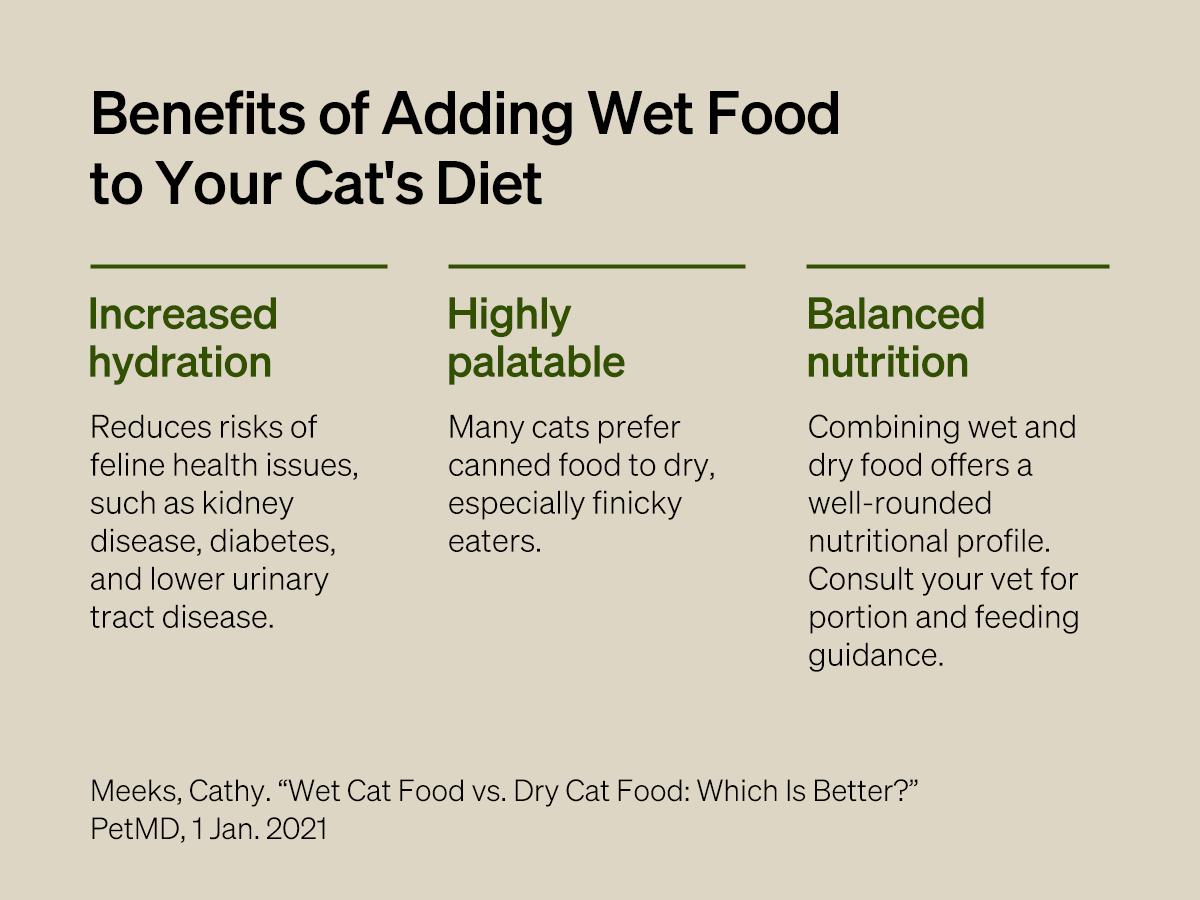 PETLIBRO Automatic Cat Feeder, Refrigerated wet food dispenser with WiFi control, 3 days freshness, 3 timed meals, quick cooling Feeding PETLIBRO Automatic Cat Feeder, Refrigerated wet food dispenser with WiFi control, 3 days freshness, 3 timed meals, quick cooling Feeding