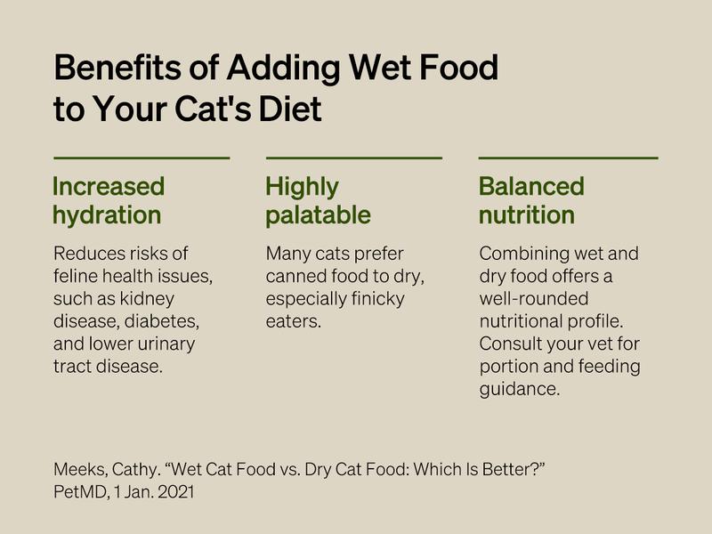 PETLIBRO Automatic Cat Feeder, Refrigerated wet food dispenser with WiFi control, 3 days freshness, 3 timed meals, quick cooling Feeding PETLIBRO Automatic Cat Feeder, Refrigerated wet food dispenser with WiFi control, 3 days freshness, 3 timed meals, quick cooling Feeding