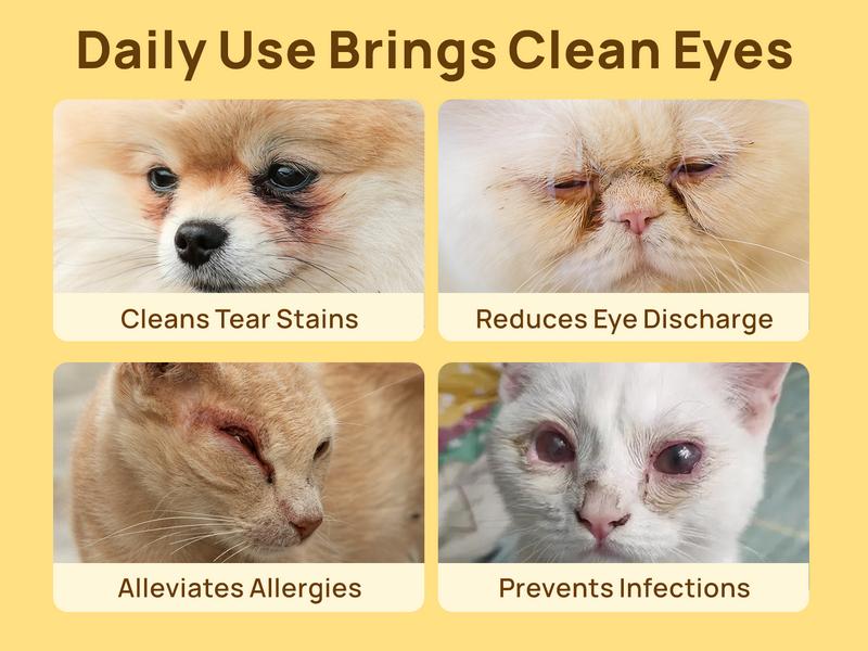 Eye Wipes for Dogs & Cats, HICC PET Hypoallergenic Dog Eye Wipes Cleaner, Natural Cleaning Grooming Pet Wipes Gently Remove Tear Stain, Eye Debris, Discharge, Mucus, Non-Irritating, Unscent, 100 PCS Large  Pet Grooming Eye#petlife