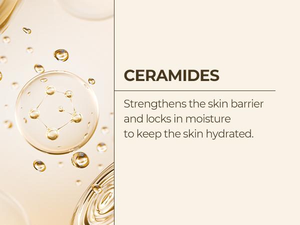 [Dr.Melaxin Official] Peel Shot Care Set | Peel Shot Amples (Black Rice & White Rice) + Peel Shot Toner Rice Exfoliating Ferment  Extract Korean Cosmetics Skin Repair