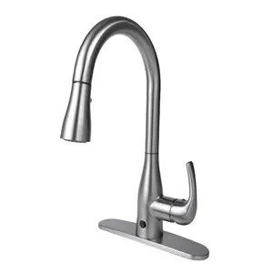 Flow Motion Activated Kitchen Faucet