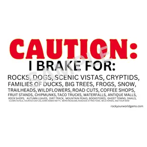 Caution! Quirky Collector's Bumper Sticker