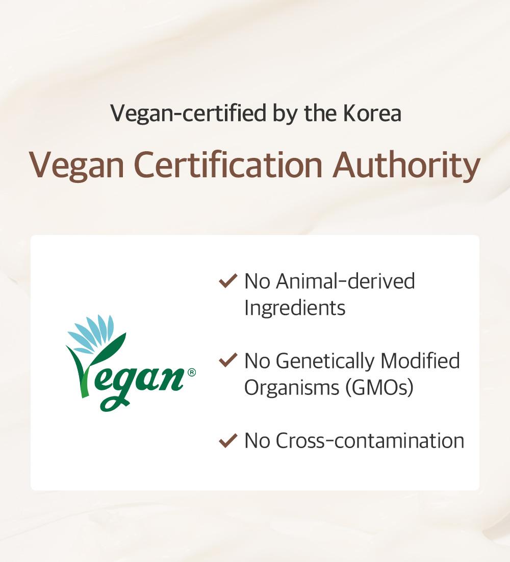 [mixsoon Official Shop] Bean Cream 0.84 fl.oz / 25ml - Intensive Facial Cream, Korean Moisturizer for Glass Skin