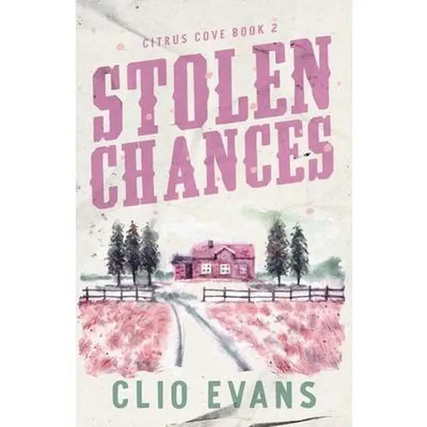 Stolen Chances: A Single Mom, MMF, Small Town Romance Suspense -- Clio Evans, Paperback