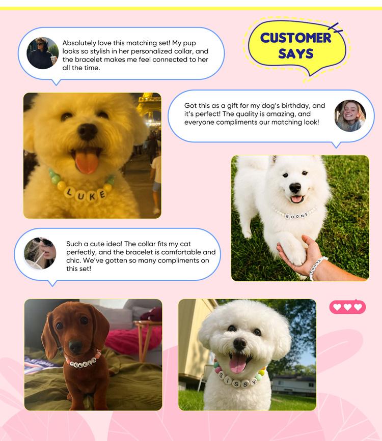 Personalized Beaded Dog Collar Custom with Pet Name Dog Accessories with Free Matching Bracelet