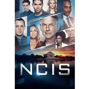 NCIS: Naval Criminal Investigative Service: The Seventeenth Season  [DVD Video Disc] Boxed Set, Subtitled, Widescreen, Ac-3/Dolby Digital, Amaray Case