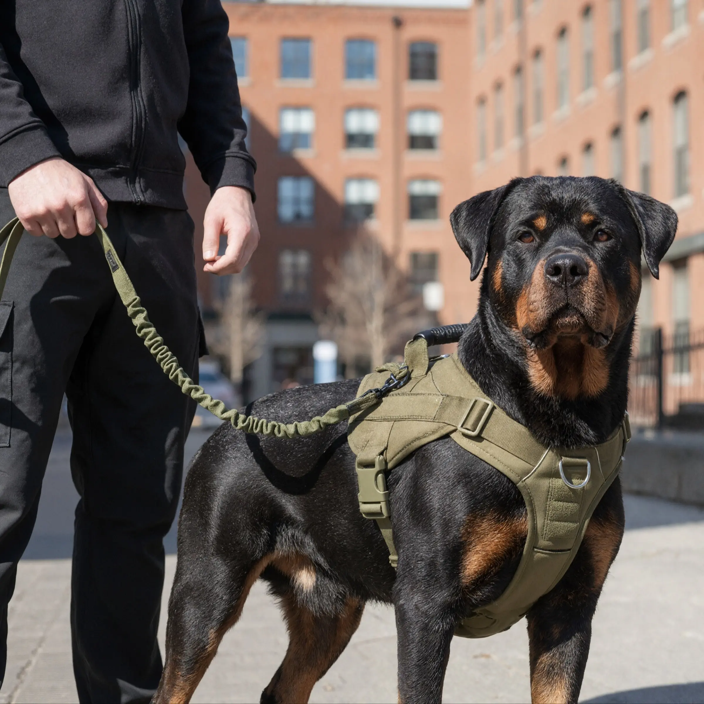Dog Tactical Harness, Pitbull Harness, Durable Reflective Harness, Breathable Large Lightweight Dog Walking Essential, Heavy-Duty Tactical Dog Harness for Large Dogs, No Pull Adjustable Reflective Vest, Military-Grade Control for Training, Outdoor