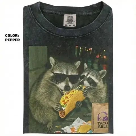 Comfort Colors Raccoon Eating Taco T-Shirt, Funny Meme Graphic Tee, Silly Animal Humor Shirt, Vintage Retro Unisex Top, Cute Raccoon Lover Gift, Gift for Men, Women funny shirts for women, Womenswear Cotton Top Streetwear