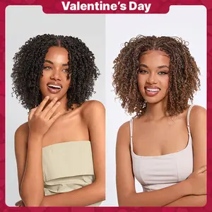 Frodio Veralux™ Fiber 12'' Synthetic Wig Micro Twist Curly Wigs 11X4 Closure HD Lace Dreadlock Wig Valentine's Day