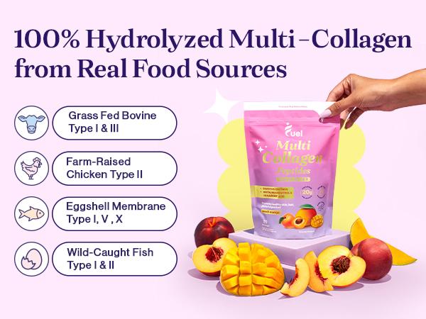 Fuel Multi Collagen Peptides 3 Packs - Hydrated Protein Peptides with Biotin, Resveratrol & Micro-Ingredient Vitamin C - Includes All Flavors - Edible Dietary Fuel Multi Collagen Peptides 3 Packs - Hydrated Protein Peptides with Biotin, Resveratrol & Micro-Ingredient Vitamin C - Includes All Flavors - Edible Dietary