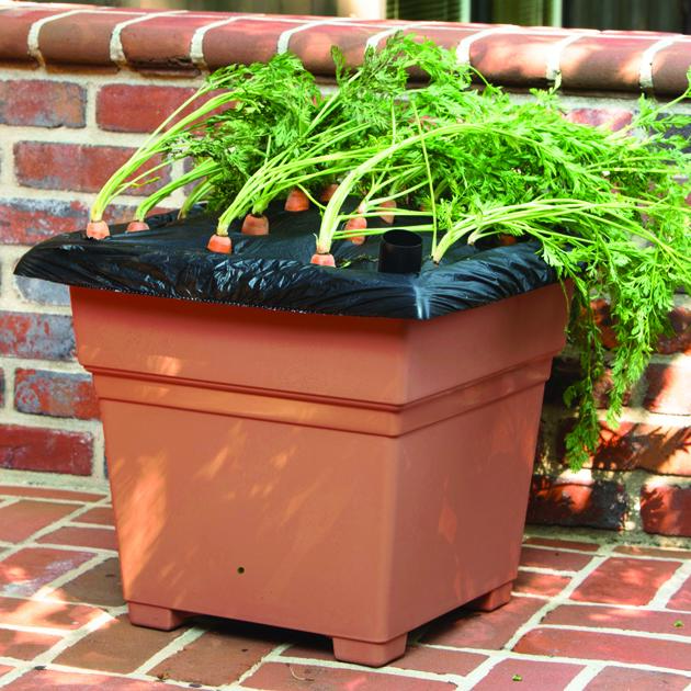 EarthBox Root & Veg Container Gardening System with Essential Plant Food for Easy & Sustainable Gardening, Sub-Irrigated Planter