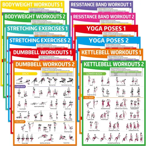 GISGFIM Laminated Office Stationery Muscle Groups Workout Charts (12 Pcs, 17x12.6 Inches) - Vibrant Print Decor, Home Gym Guide with 4 Sheets Adhesive Dots for Dumbbells, Resistance Bands, All Levels