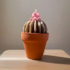 Handmade Succulent Cactus Candle in Sealed Terra Cotta Pot| Reusable Planter