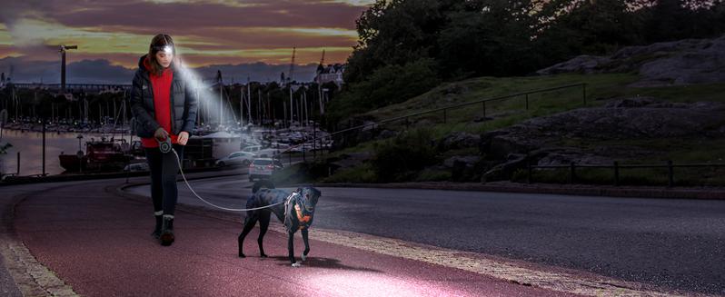 Lighting Ever LED Headlamp Rechargeable - Super Bright Head Lamp with 5 Modes for Camping & Hiking Gear Essentials, IPX4 Waterproof Headlight Flashlight with Red Light, USB Cable Included