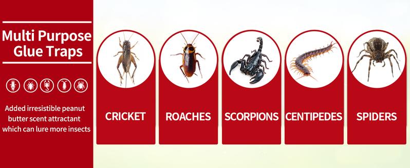 LULUCATCH Mouse & Insect Traps 12 Pack, Heavier Sticky Traps with Non-Toxic Glue for Small Mice & Insects. Sticky Mouse Traps Indoor, Easy to Set, Pet Safe Pest Control