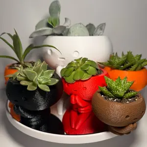 Pot Head Character Planter – Cute Modern 3D Printed Plant Pot