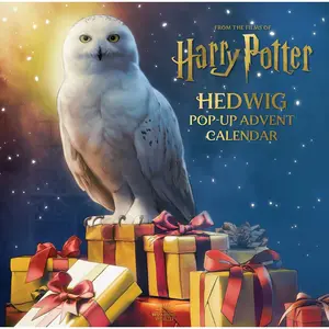 Harry Potter: Hedwig Pop-Up Advent Calendar (Reinhart Pop-Up Studio) Hardcover – Pop up, September 13, 2022