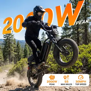 Yoloway YR16 Electric Bike for Riders 4'9"–5'5", 2000W Peak Motor, Up to 55 Miles Range, 48V 12.5Ah Battery, 16" Fat Tire eBike with Cruise Control & Full Suspension, All-Terrain (New Version)