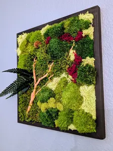 🪴 12-inch Handmade Moss Wall Art - 1 Individual