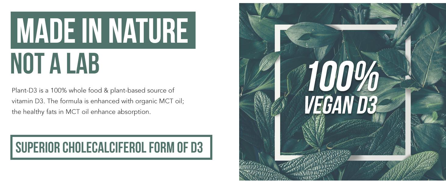 Plant-D3 Organic Vitamin D3 | 5000 IU – Vegan Liquid Drops for Max Strength & High Absorption  Adjustable Dosing (1 oz Liquid) Supplements Healthcare