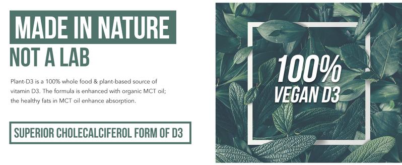 Plant-D3 Organic Vitamin D3 | 5000 IU – Vegan Liquid Drops for Max Strength & High Absorption  Adjustable Dosing (1 oz Liquid) Supplements Healthcare