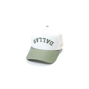 Precurved Dallas snapback - SAGE / WHITE