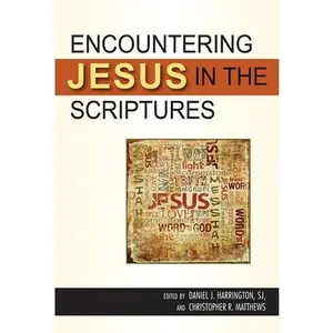 USED-Encountering Jesus in the Scriptures by Christopher R. Matthews (Paperback)