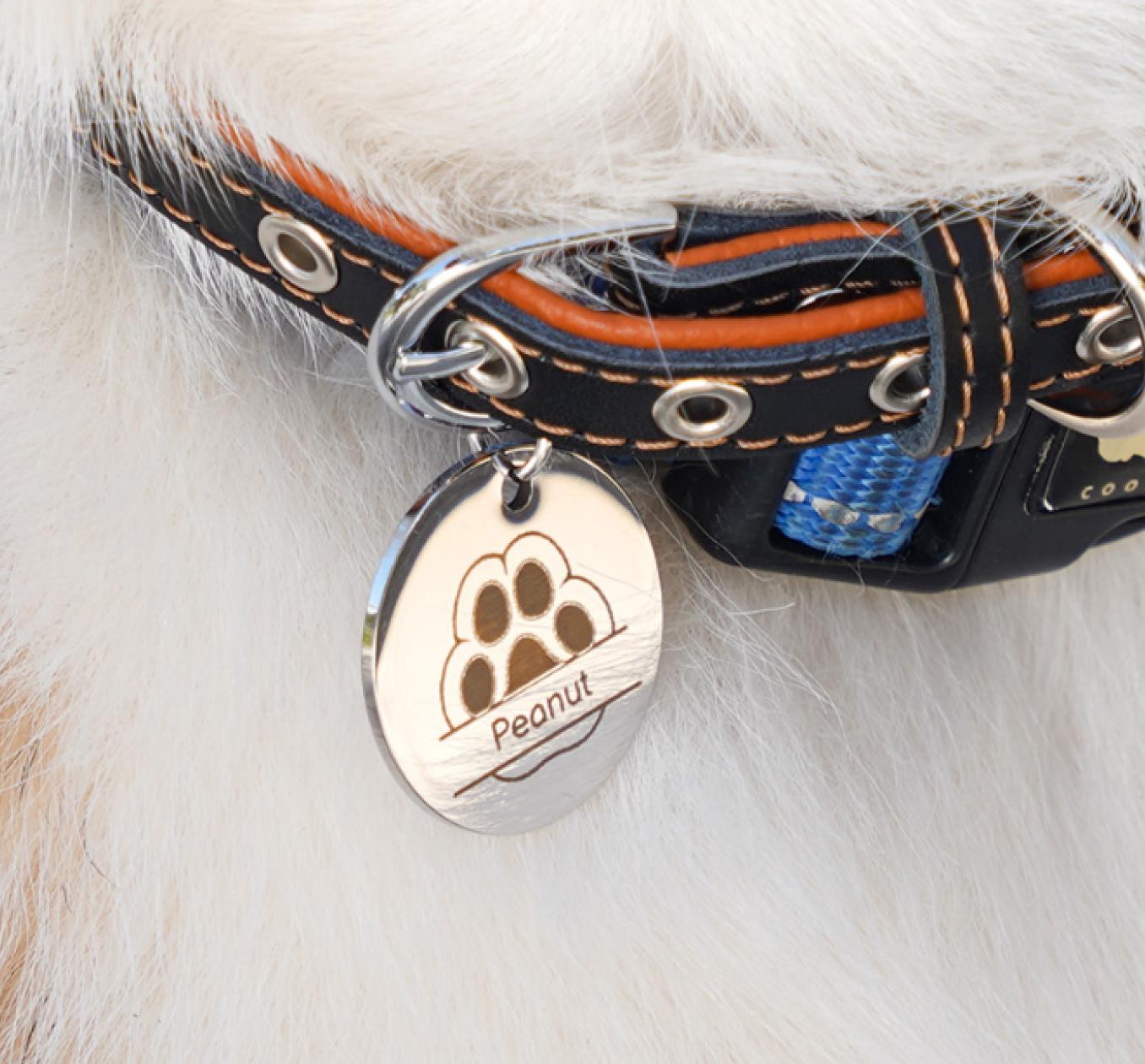 Bambu Lab H2D 3D Printer, Dual-nozzle Multi-material 3D Printing, Optional 10W/40W Laser and Cutting Module, 350*320*325 mm³ Print Volume, 5μm Resolution Optical Motion Calibration, Closed-loop Servo Extruder, 350°C Nozzle & 65°C Active Chamber Heating