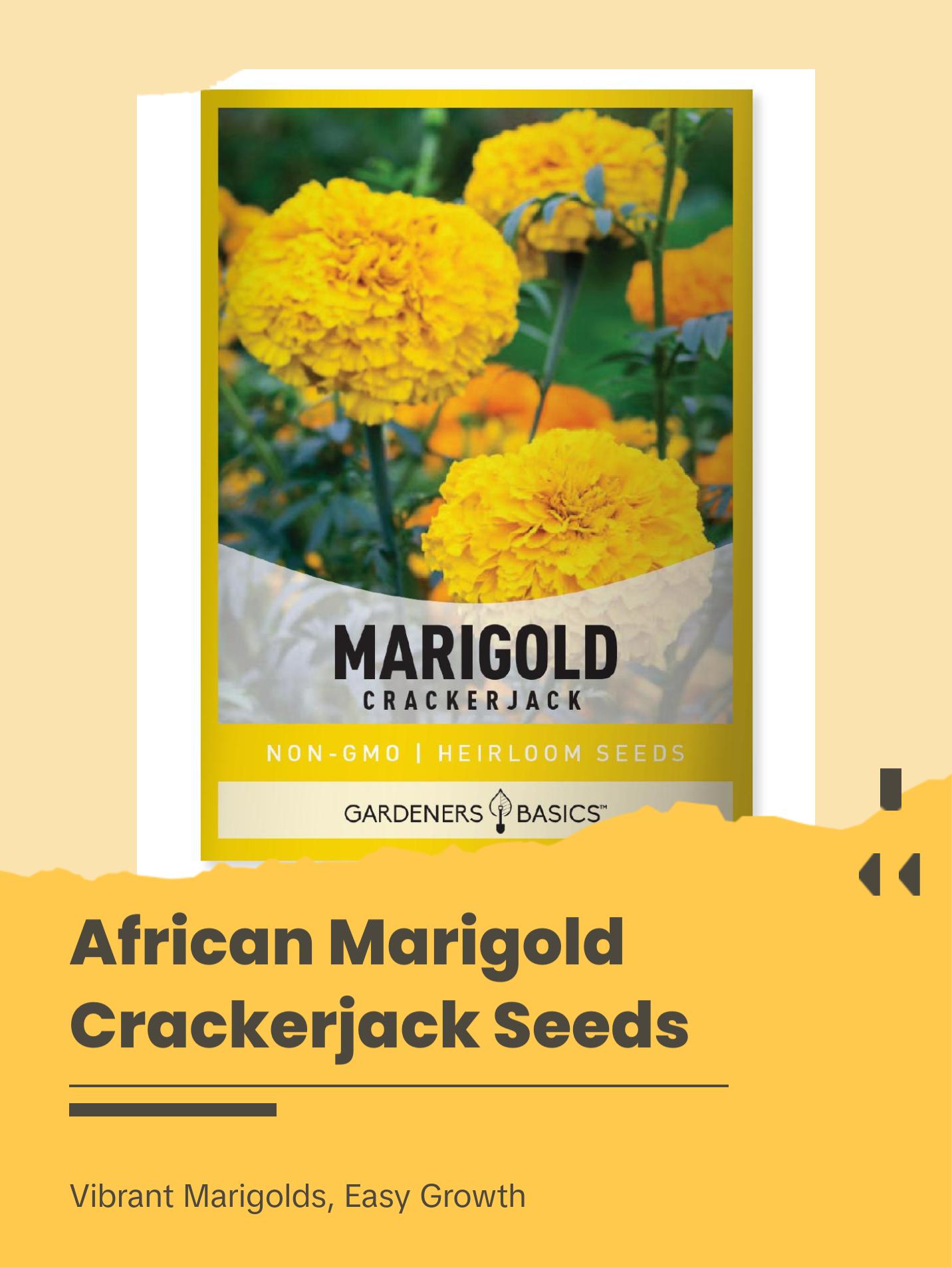 African Marigold Crackerjack Seeds - TikTok Shop