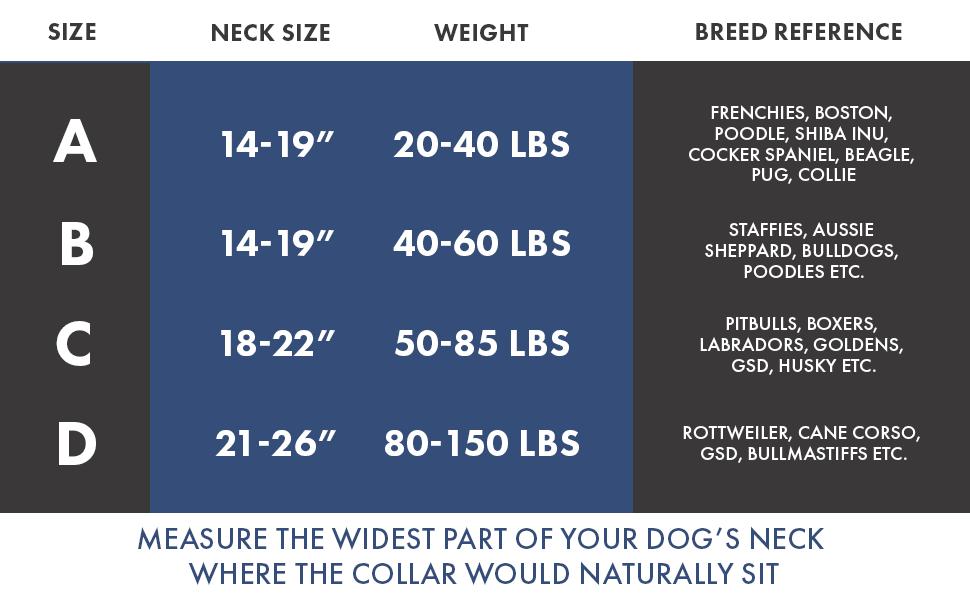 Spark Paws Martingale Dog Collar – Cushioned Slip-On Training Collar, Heavy Duty, Safety-Tested No-Buckle Collar for Medium & Large Dogs