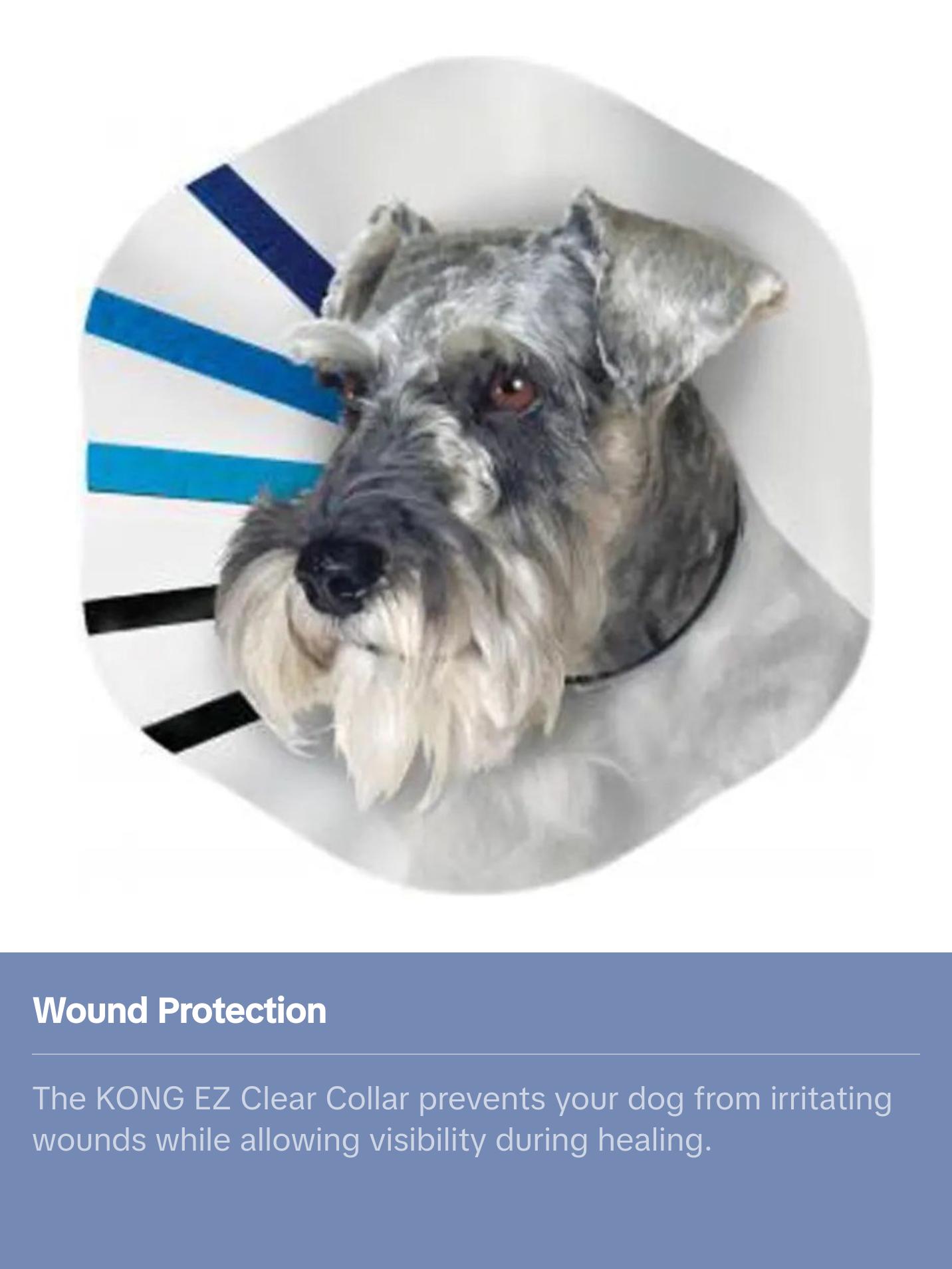 Kong® EZ Clear™ Dog Collar