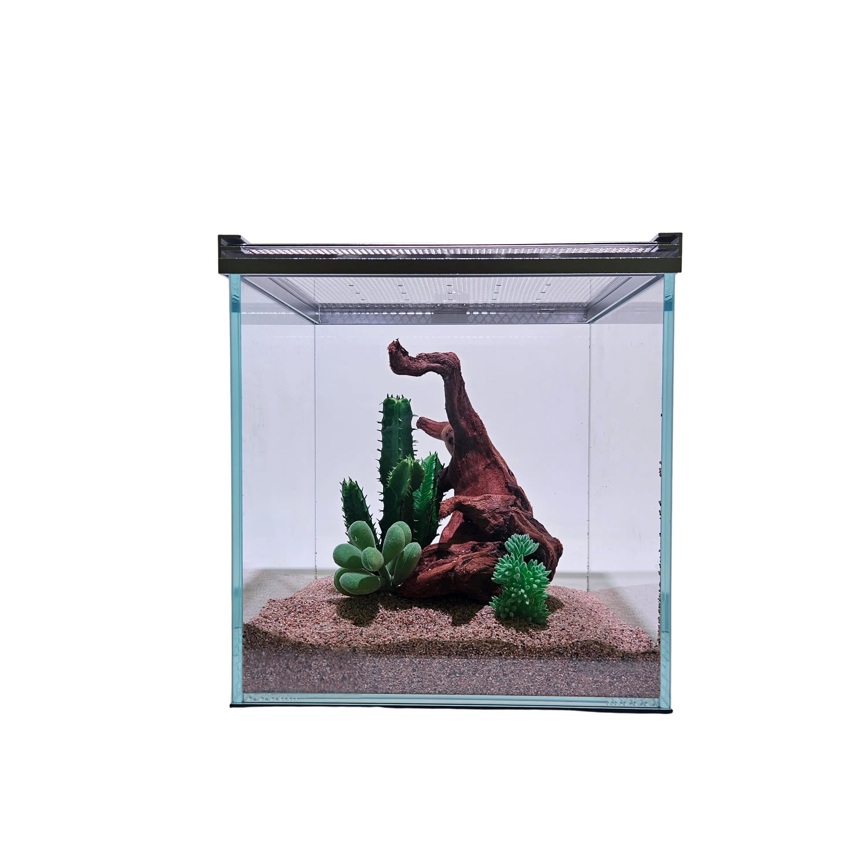 Lifegard Low Iron Glass 1 Gallon Rimless Cube Terrarium