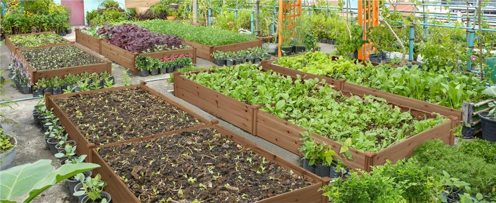 Yaheetech Wooden Raised Garden Bed Divisible Elevated Planting Planter Box for Flowers/Vegetables/Herbs in Backyard/Patio Outdoor, 95″ L × 49″ W × 11″ H