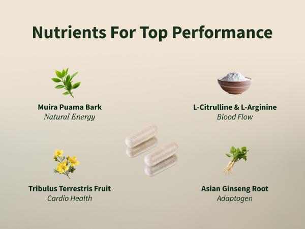 Snap Supplements - Nitric Oxide Booster - Support Healthy Blood Circulation - Nitric Oxide Supplement for Men and Women - 3rd party tested - 60 count