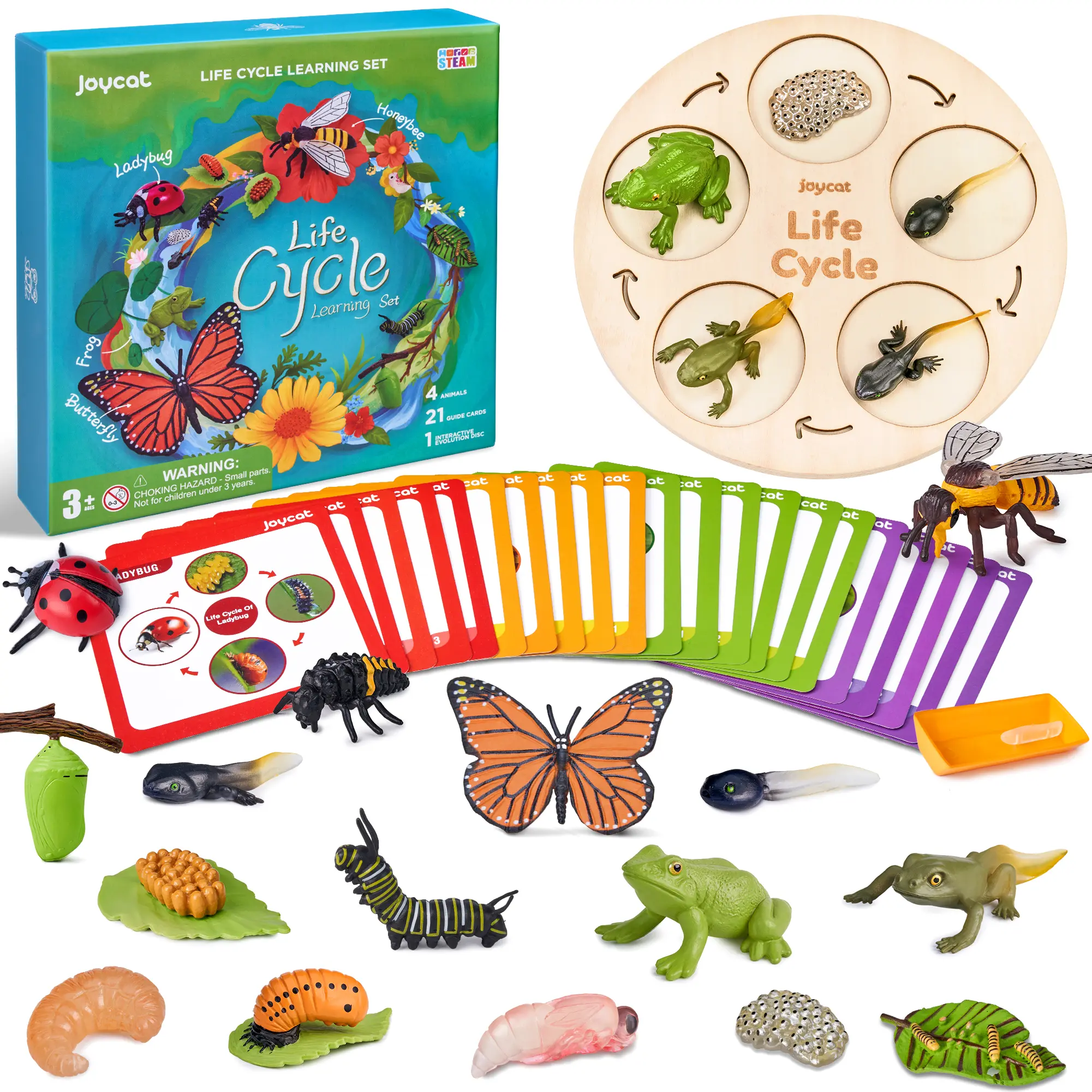 JoyCat Life Cycle Learning Education Toys, Science Kits, Insect Caterpillar to Butterfly kit, Ladybug, Bee, Tadpole to Frog Kit Life Cycle Toys for Kids, Preschool Learning Activities for Kids