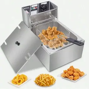 10QT Capacity Electric Deep Fryer With Baskets & Lids, 10L Countertop Stainless Steel Temperature Control Frying Machine, For Home & Commercial 2500W 60Hz 110V